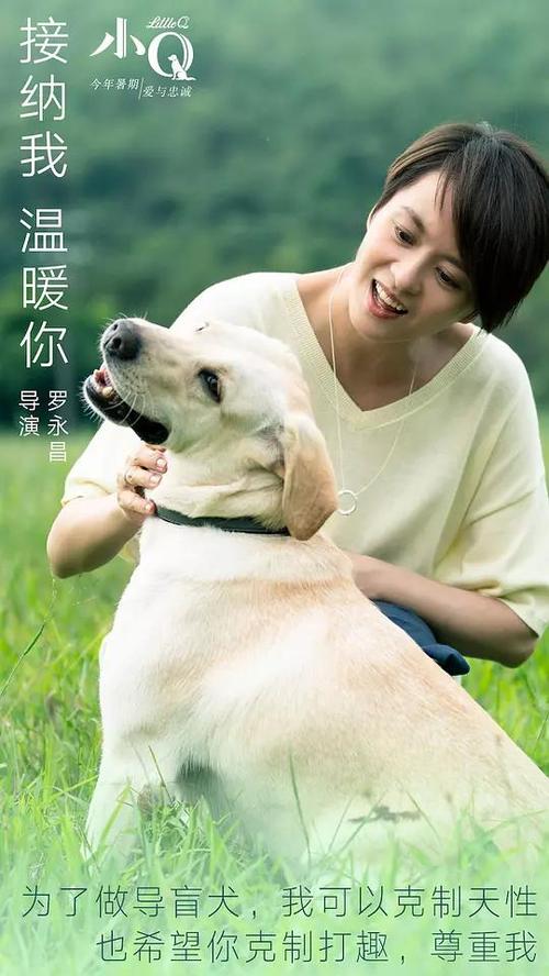 新潟産業大学电子工程学位证书